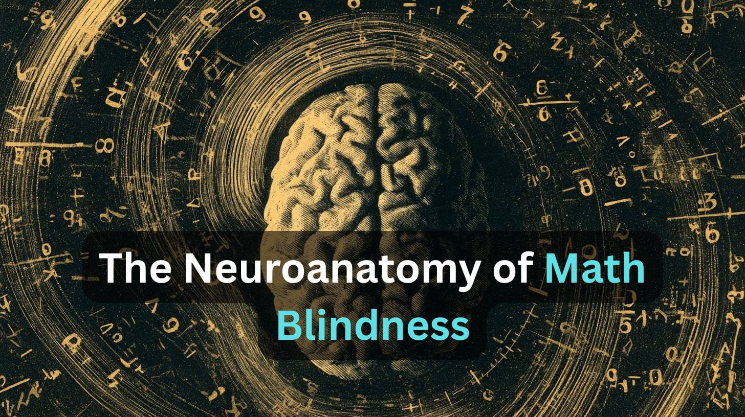 This shows a brian surrounded by numbers. Caption reads "The Anatomy of Math Blindness."