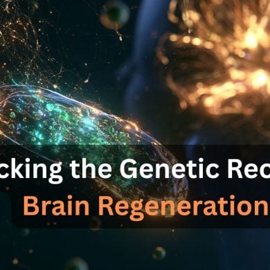 This shows a brian and stem cells. Caption reads "Unlocking the Genetic Recipe for Brain Regeneration".