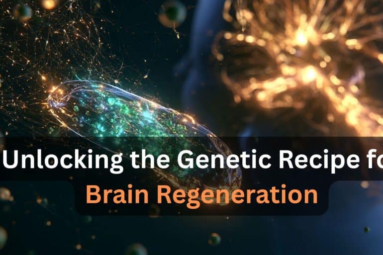 This shows a brian and stem cells. Caption reads "Unlocking the Genetic Recipe for Brain Regeneration".