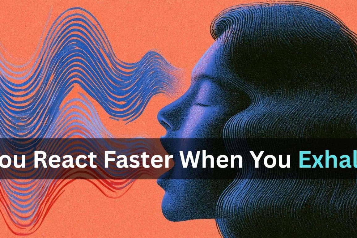 Rhythm of Your Breath Controls Reaction Time