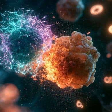 This shows cells.