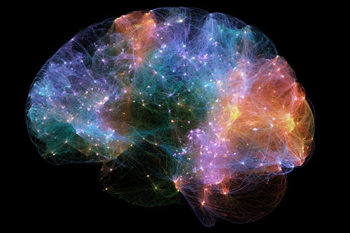 Converging Molecular Signatures of Autism Genes in the Brain