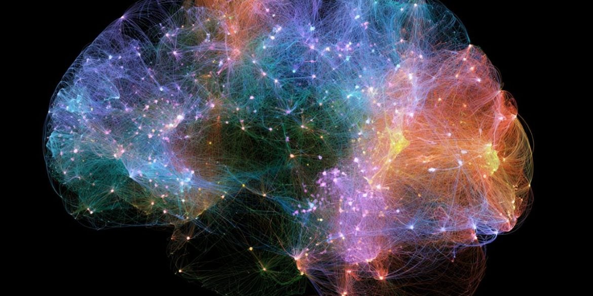 This shows a brain.