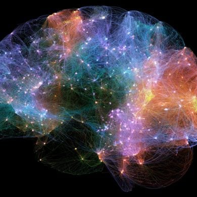 This shows a brain.