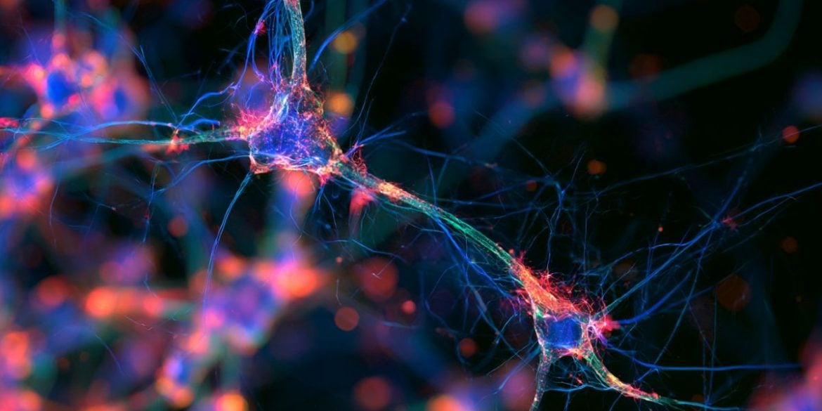 3D scientific visualization of a developing neuron cell body with an illuminated nucleus extending an axon through a spinal pathway waypoint.