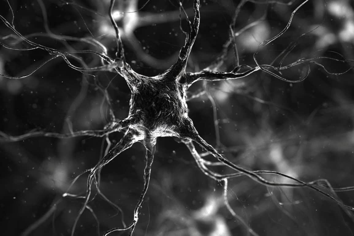 Neurodevelopmental Syndrome Linked to Partial Loss of BRSK1
