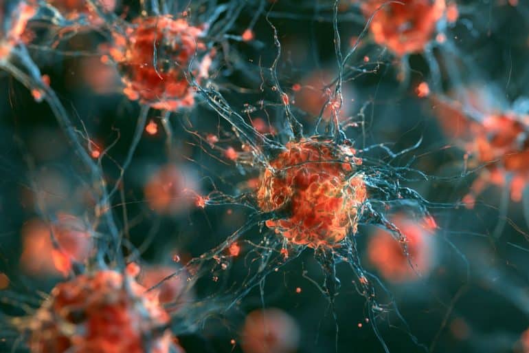 This shows neurons.