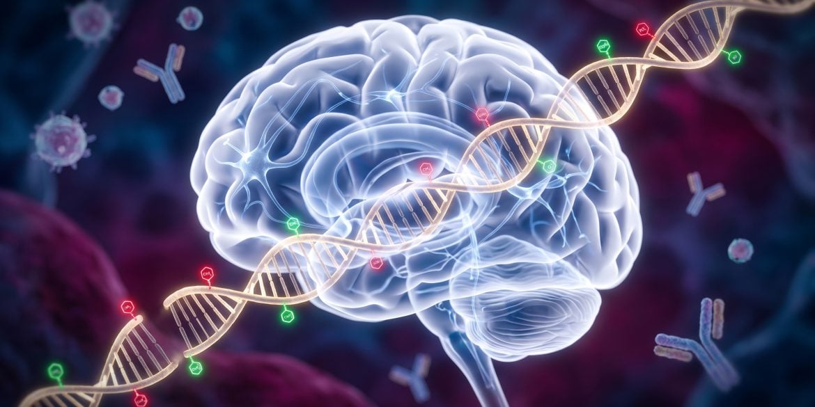 A 3D digital rendering showing a developing fetal brain connected by glowing neural pathways and floating DNA strands, surrounded by subtle immune cells.