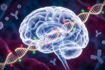 A 3D digital rendering showing a developing fetal brain connected by glowing neural pathways and floating DNA strands, surrounded by subtle immune cells.