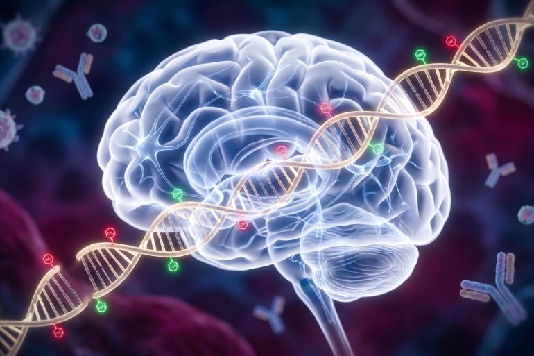A 3D digital rendering showing a developing fetal brain connected by glowing neural pathways and floating DNA strands, surrounded by subtle immune cells.