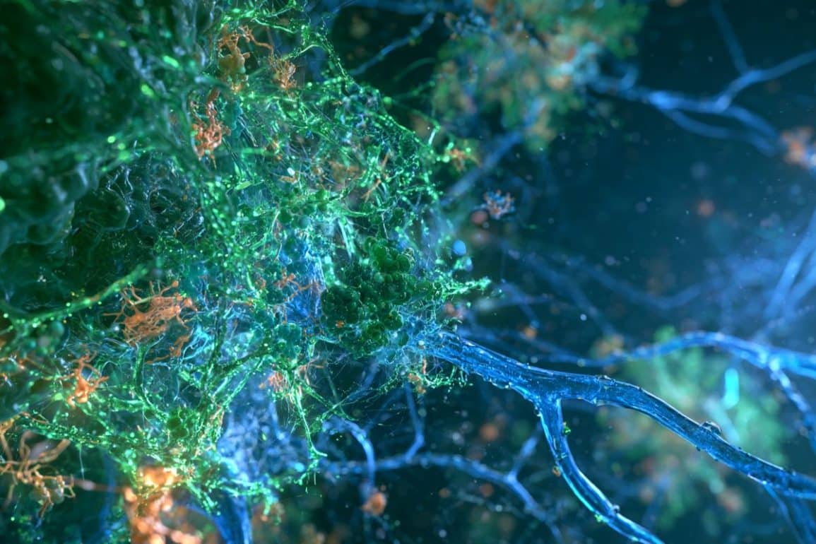 How Neurons Transcribe Massive Genes
