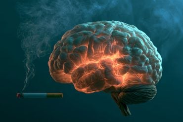 This shows a brain surrounded by smoke.