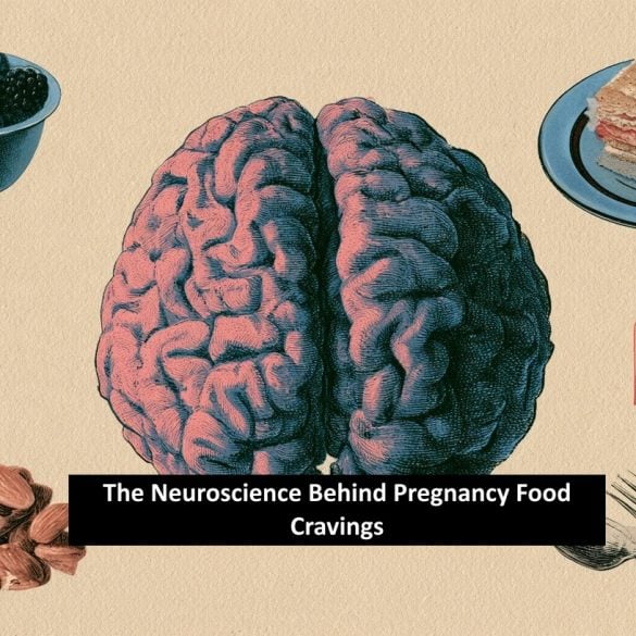 This shows a brain surrounded by food, with the caption "The Neuroscience Behind Pregnancy Food Cravings".