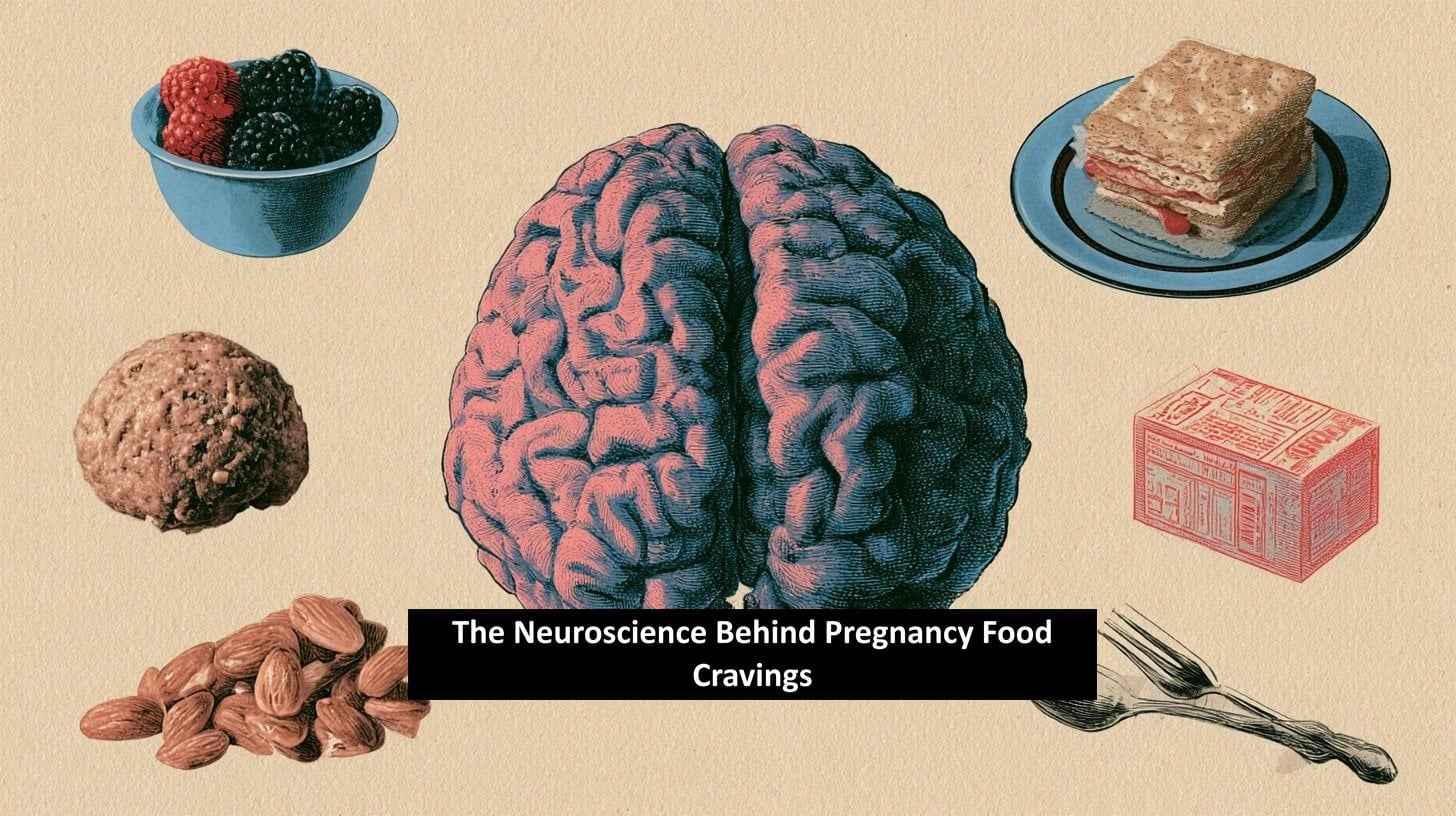 This shows a brain surrounded by food, with the caption "The Neuroscience Behind Pregnancy Food Cravings".
