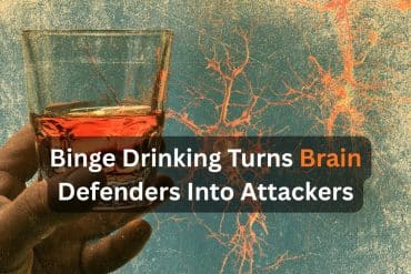 This shows a person holding a glass of scotch and microglia.