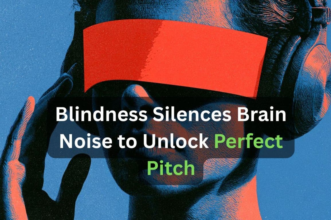 Early Blindness Tunes Pitch Perception