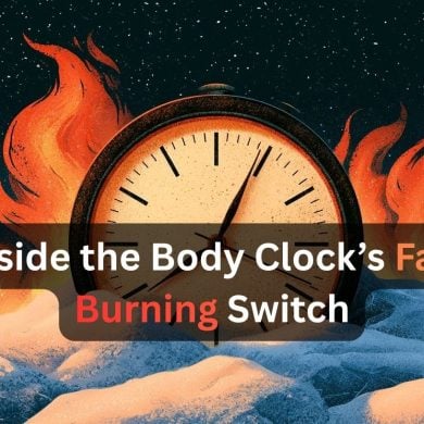 This shows a clock surrounded by fire and snow. Caption reads "Inside the Body Clock’s Fat-Burning Switch."