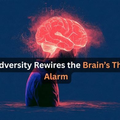 This shows a head and a brain. Caption reads "Past Adversity Rewires the Brain’s Threat Alarm."