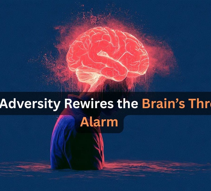 This shows a head and a brain. Caption reads "Past Adversity Rewires the Brain’s Threat Alarm."