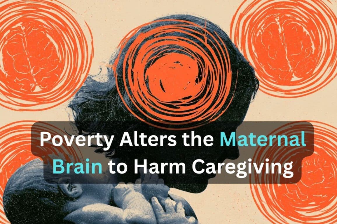 Resource Scarcity Alters Maternal Brain Activity to Hinder Caregiving