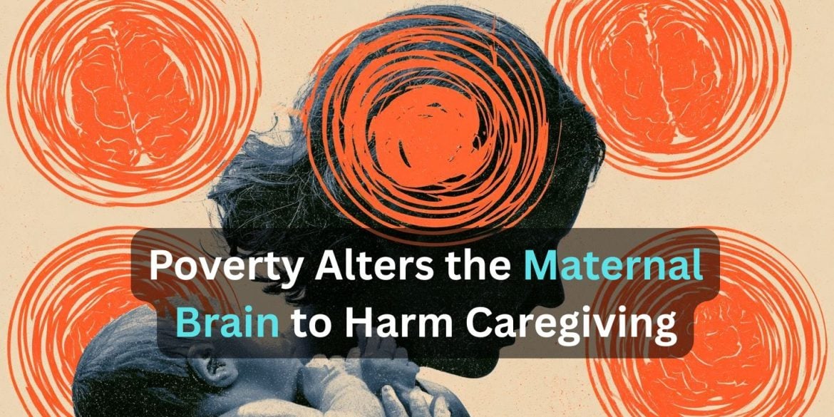 This shows a mother and baby. Caption reads "parenting, caregiving, neural circuits, motivation, resource scarcity."