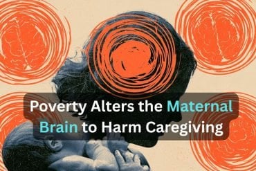 This shows a mother and baby. Caption reads "parenting, caregiving, neural circuits, motivation, resource scarcity."