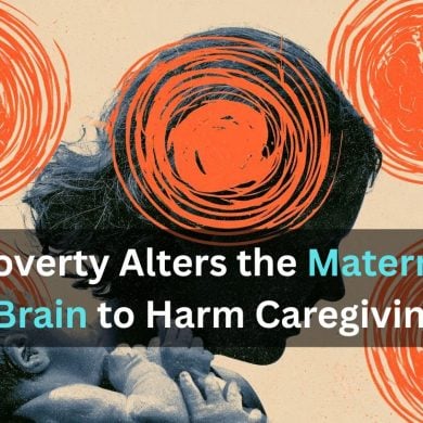 This shows a mother and baby. Caption reads "parenting, caregiving, neural circuits, motivation, resource scarcity."