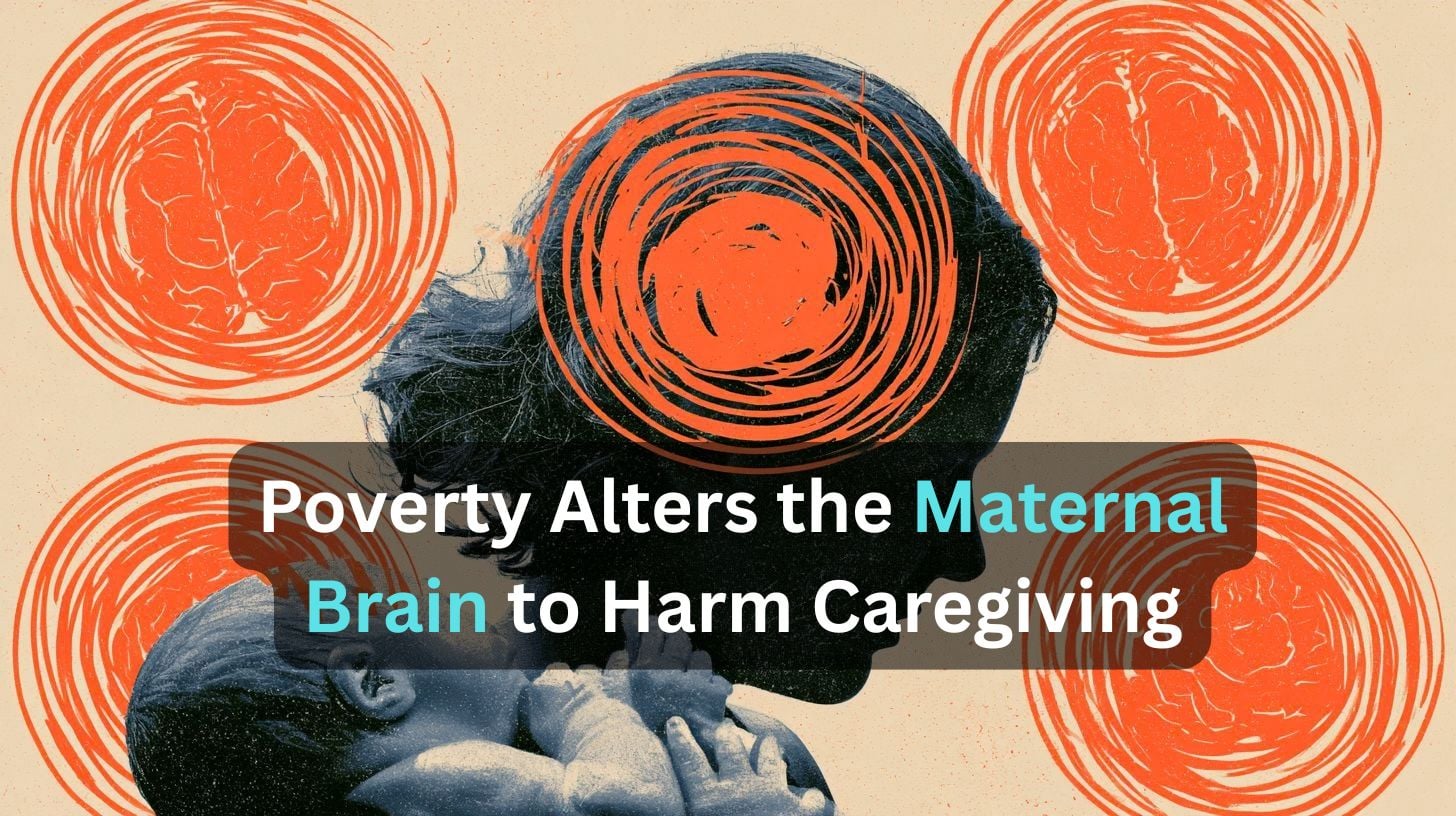 This shows a mother and baby. Caption reads "parenting, caregiving, neural circuits, motivation, resource scarcity."