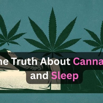 This shows a person sleeping and leaves. Caption reads "The Truth About Cannabis and Sleep."
