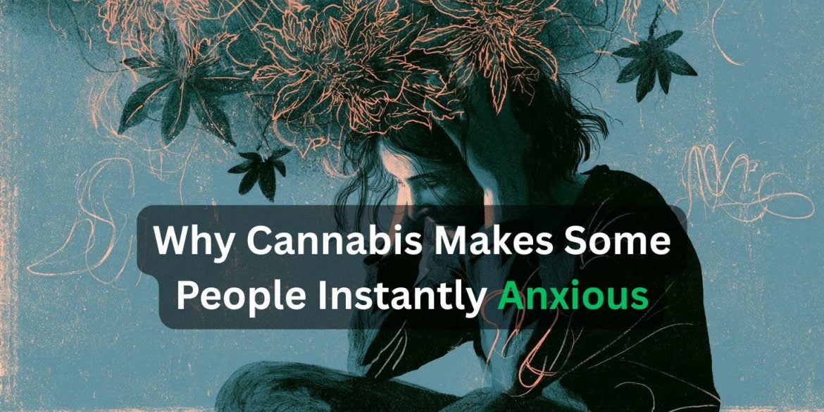 This shows an anxious looking person surrounded by leaves. Caption reads "Why Cannabis Makes Some People Instantly Anxious."
