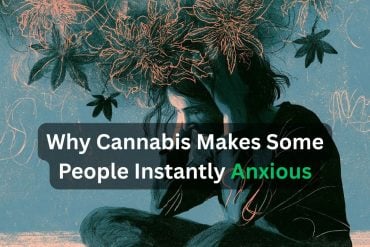 This shows an anxious looking person surrounded by leaves. Caption reads "Why Cannabis Makes Some People Instantly Anxious."