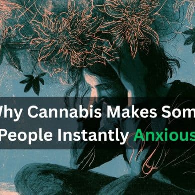 This shows an anxious looking person surrounded by leaves. Caption reads "Why Cannabis Makes Some People Instantly Anxious."