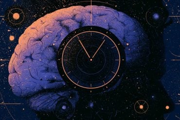 This shows a clock and a head.