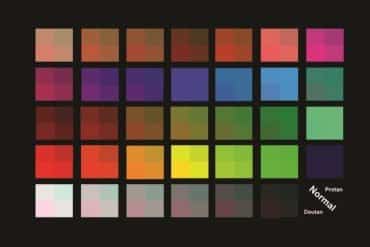 This shows a color palette.
