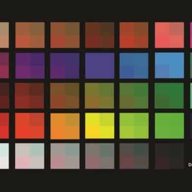 This shows a color palette.