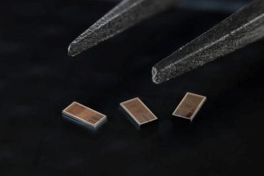 This shows the neural chip.