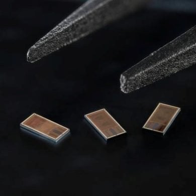 This shows the neural chip.