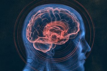 This shows a head and a brain.