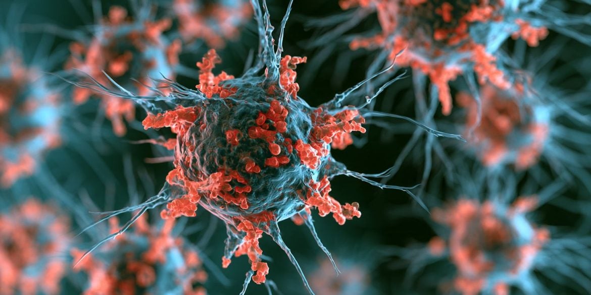 This shows the HSV1 virus.