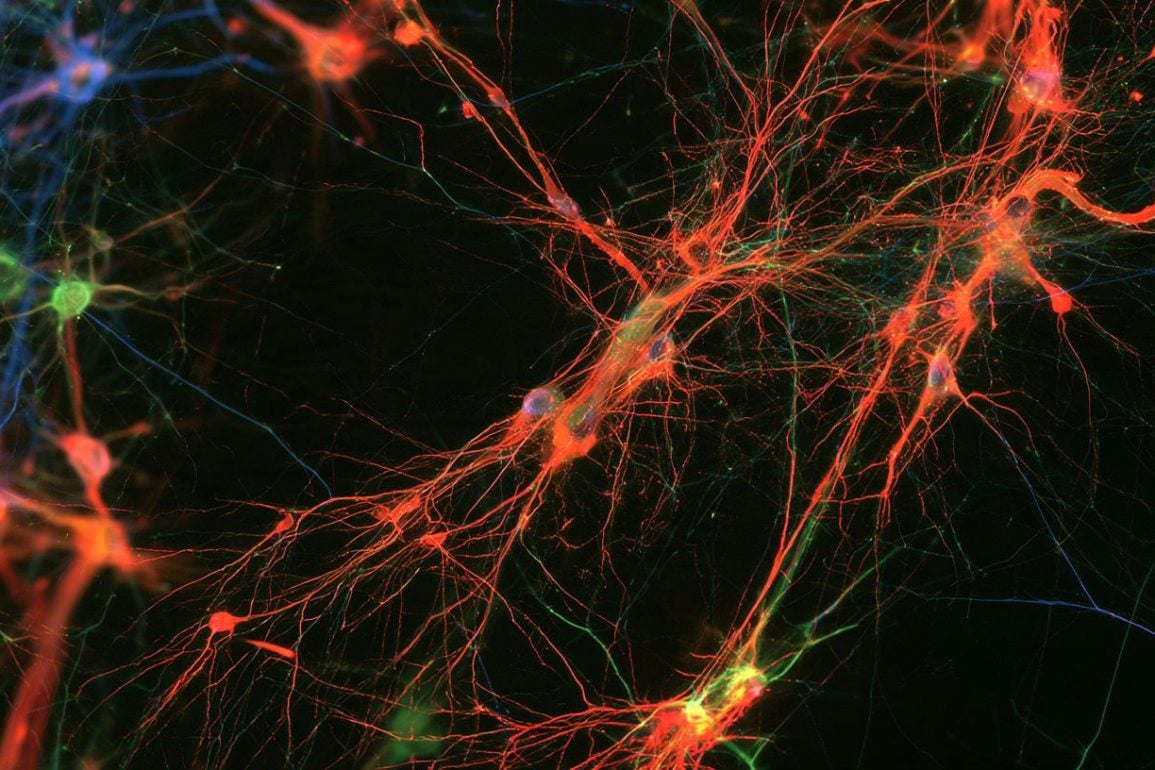 Resetting Interneuron Timing Rescues Memory in Alzheimers