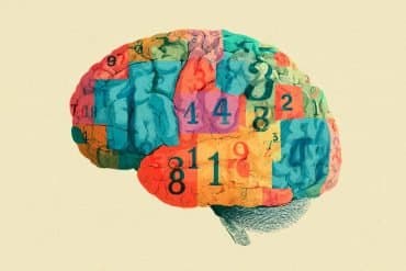 This shows a brain covered with numbers.