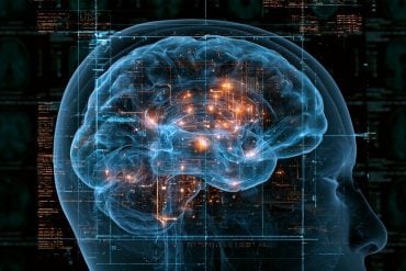 This shows a brain and computer code.
