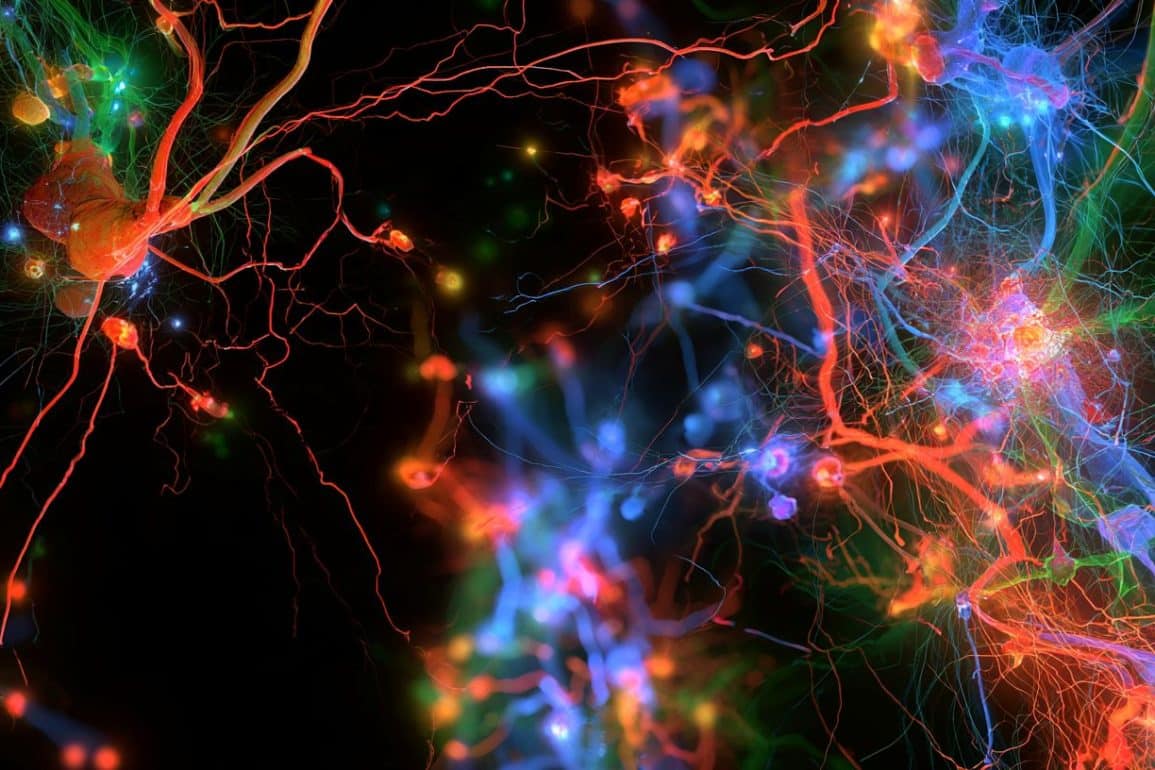 A Single Neural Circuit Unifies Multidimensional Prediction