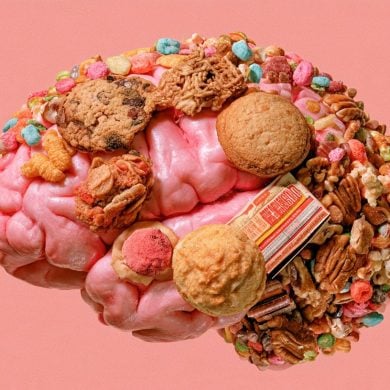 This shows a brain made of cookies and sweets.