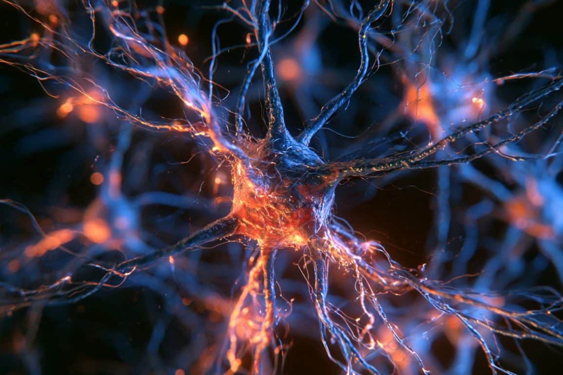 How Brain Cells Lock In Short-Term Memories