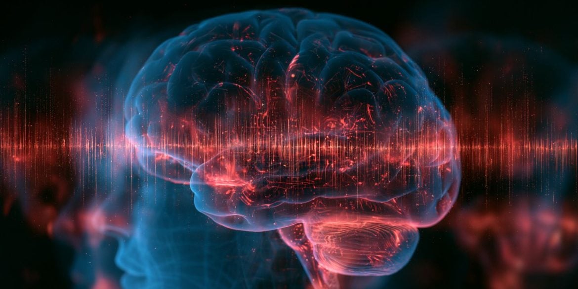 This shows a brain.
