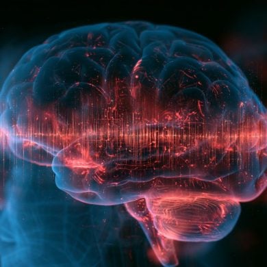 This shows a brain.
