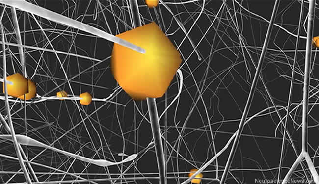 A simulation of neural networks is shown.