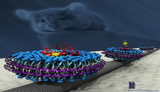 A mouse is shown over nanotubes with olfactory receptors on them in this artwork.